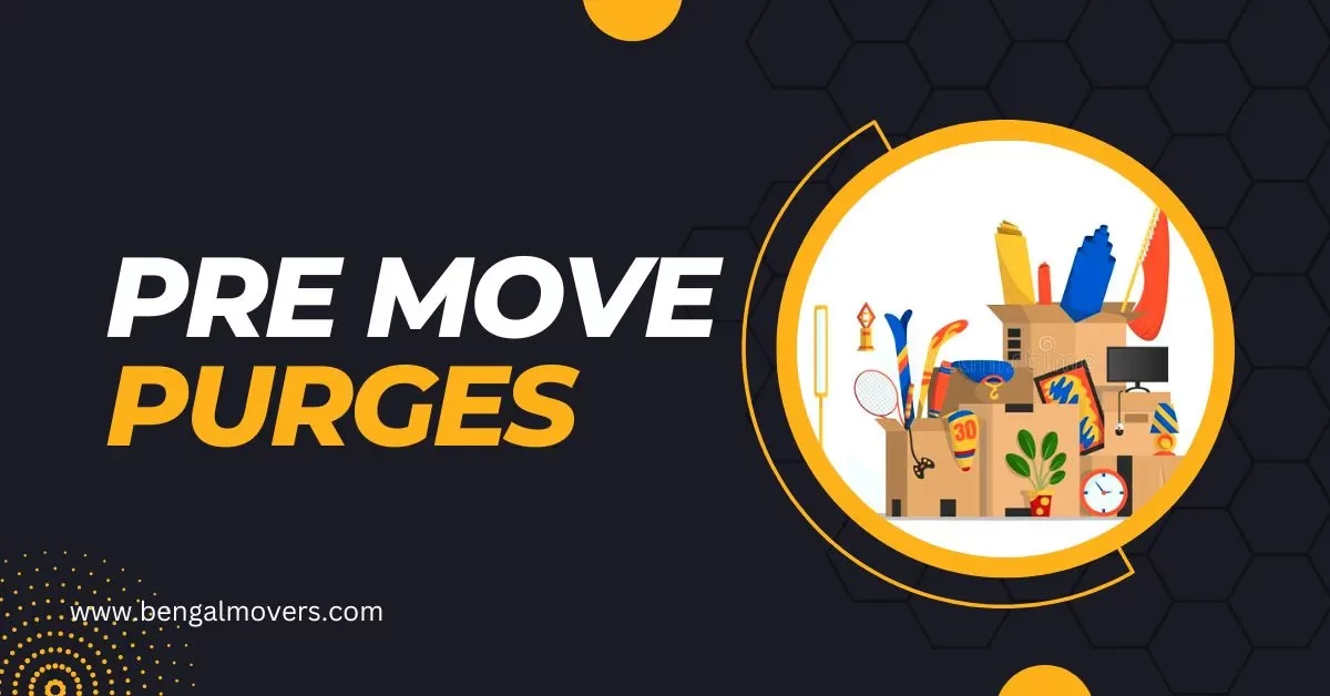 Pre-Move Purge - Streamline Your Move with These Like a Pro
